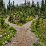 timeless tools for lifes challenges lessons on character and integrity