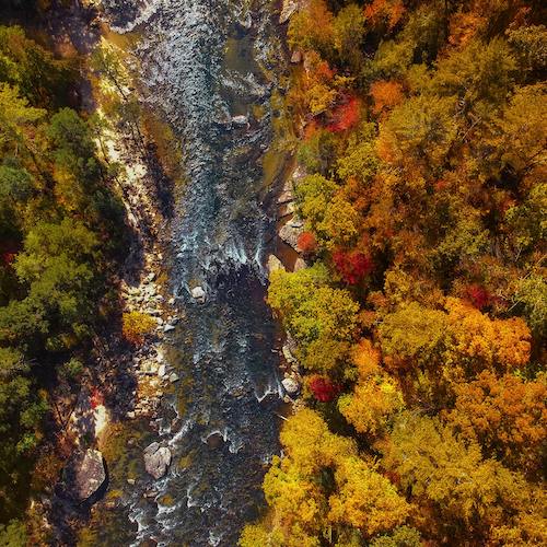 A Step Back in Time: Black Mountain, NC