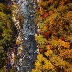 A Step Back in Time: Black Mountain, NC