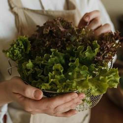 Betty Crocker's Green Salad with Homemade French Dressing